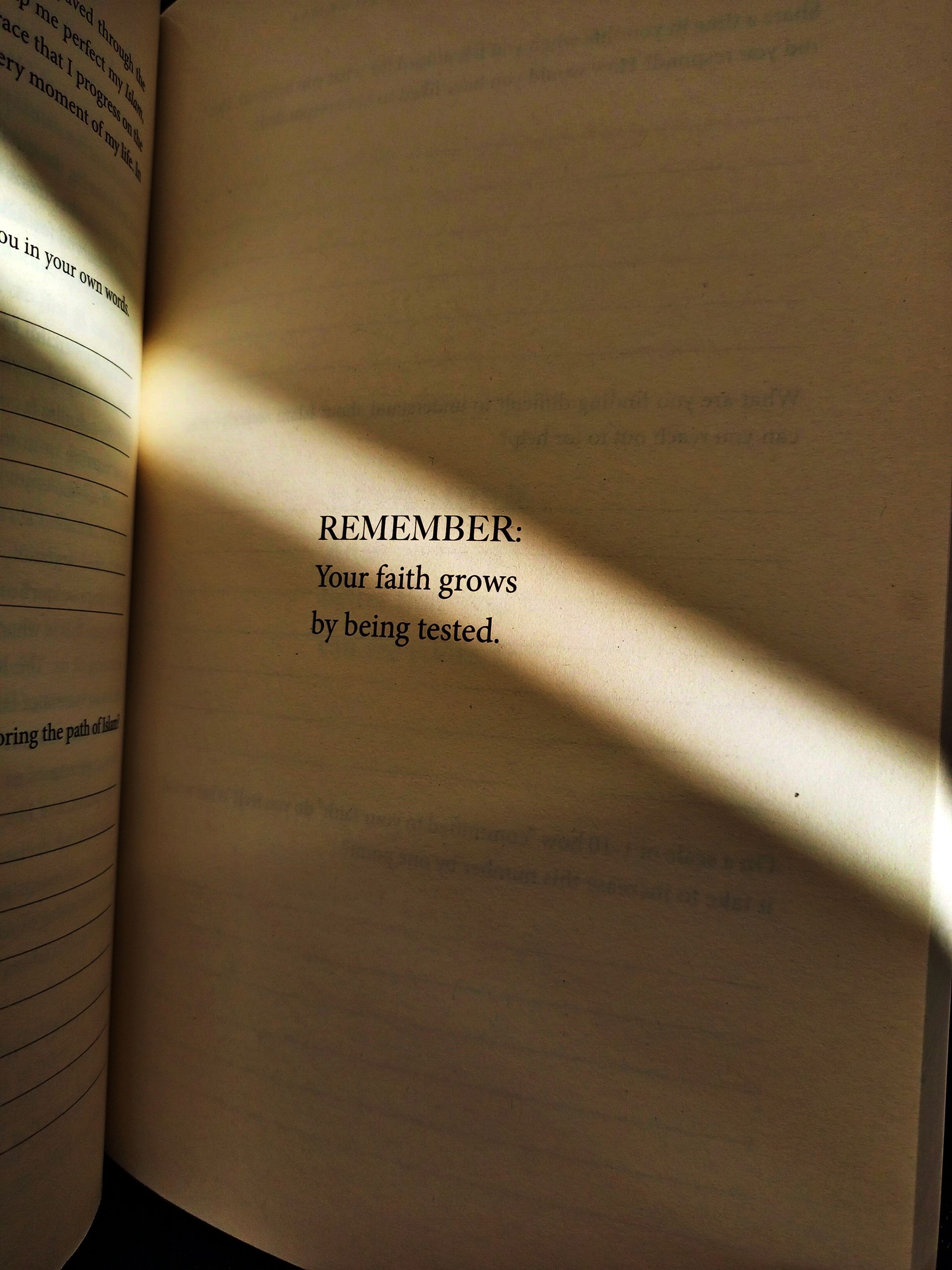 An inspirational quote highlighted by sunlight on an open book page.